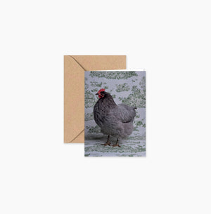 Chicken Mini Notecard