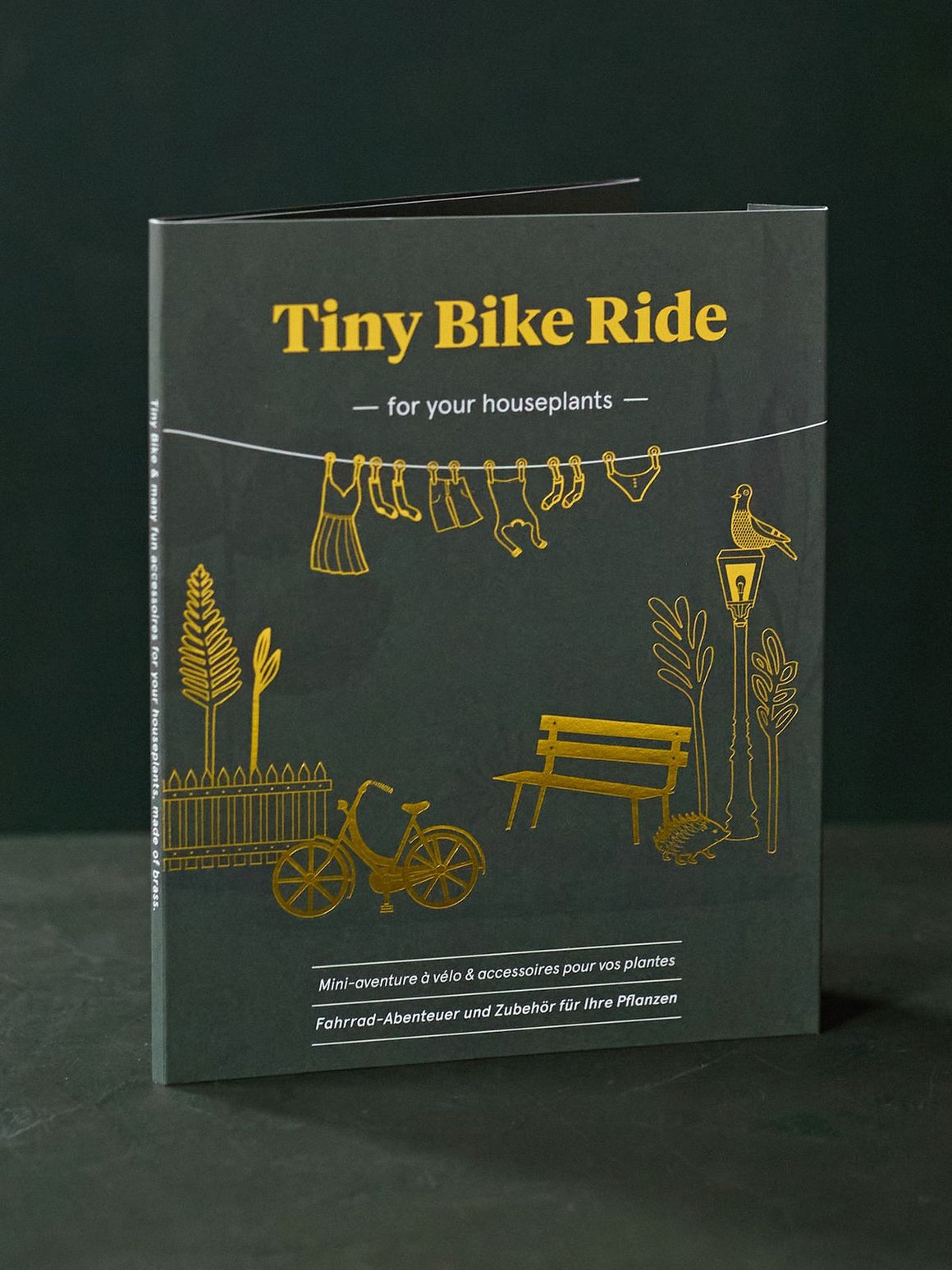 Tiny Bike Ride