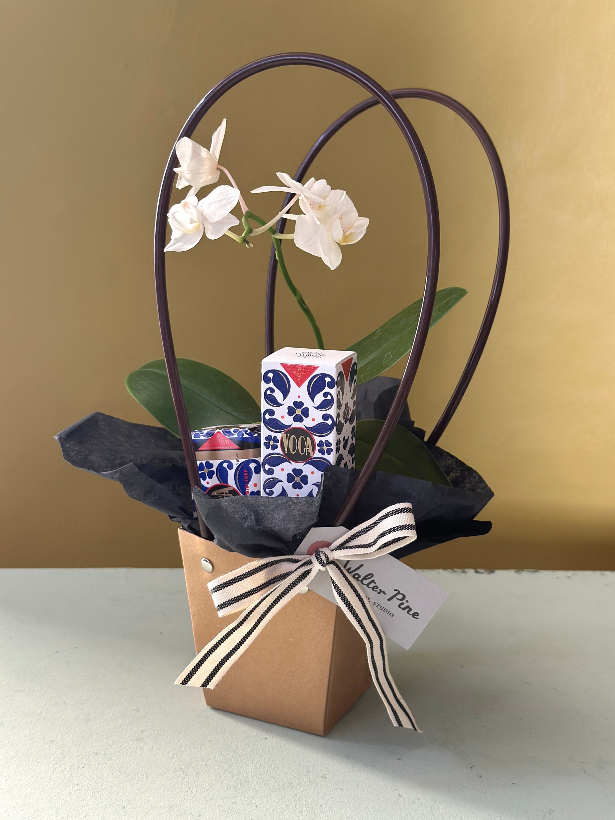 The Voga Bundle