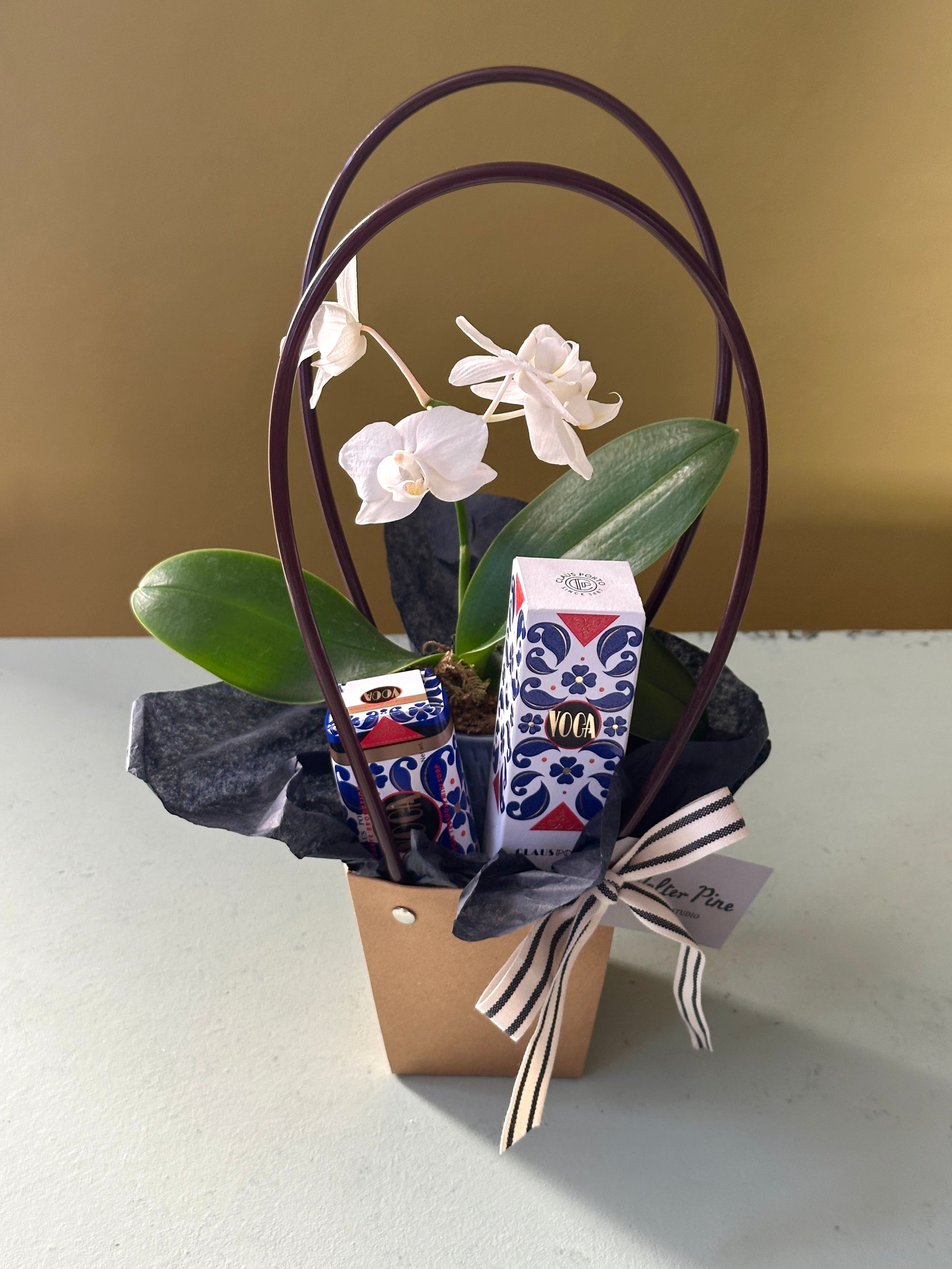 The Voga Bundle