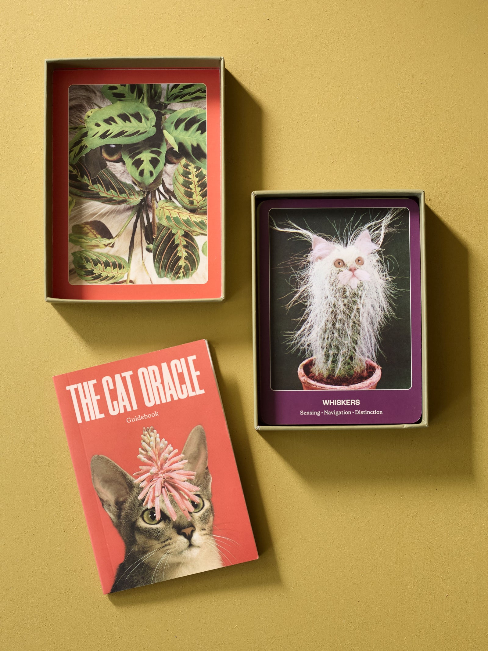 Cat Oracle Deck