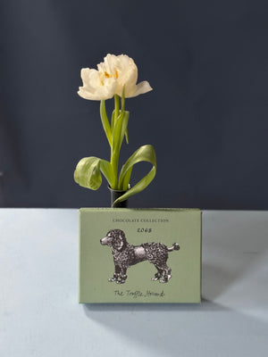 The Love Hound Bundle