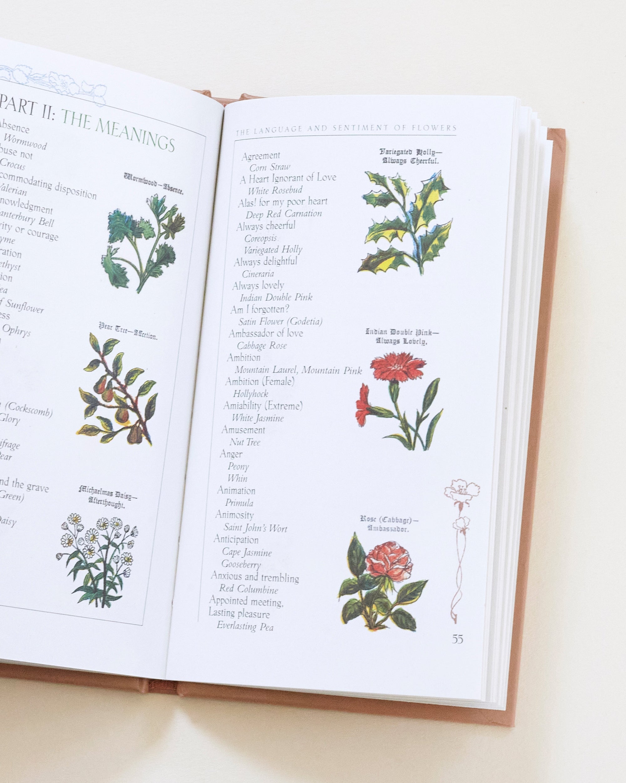 Language of Flowers Bundle