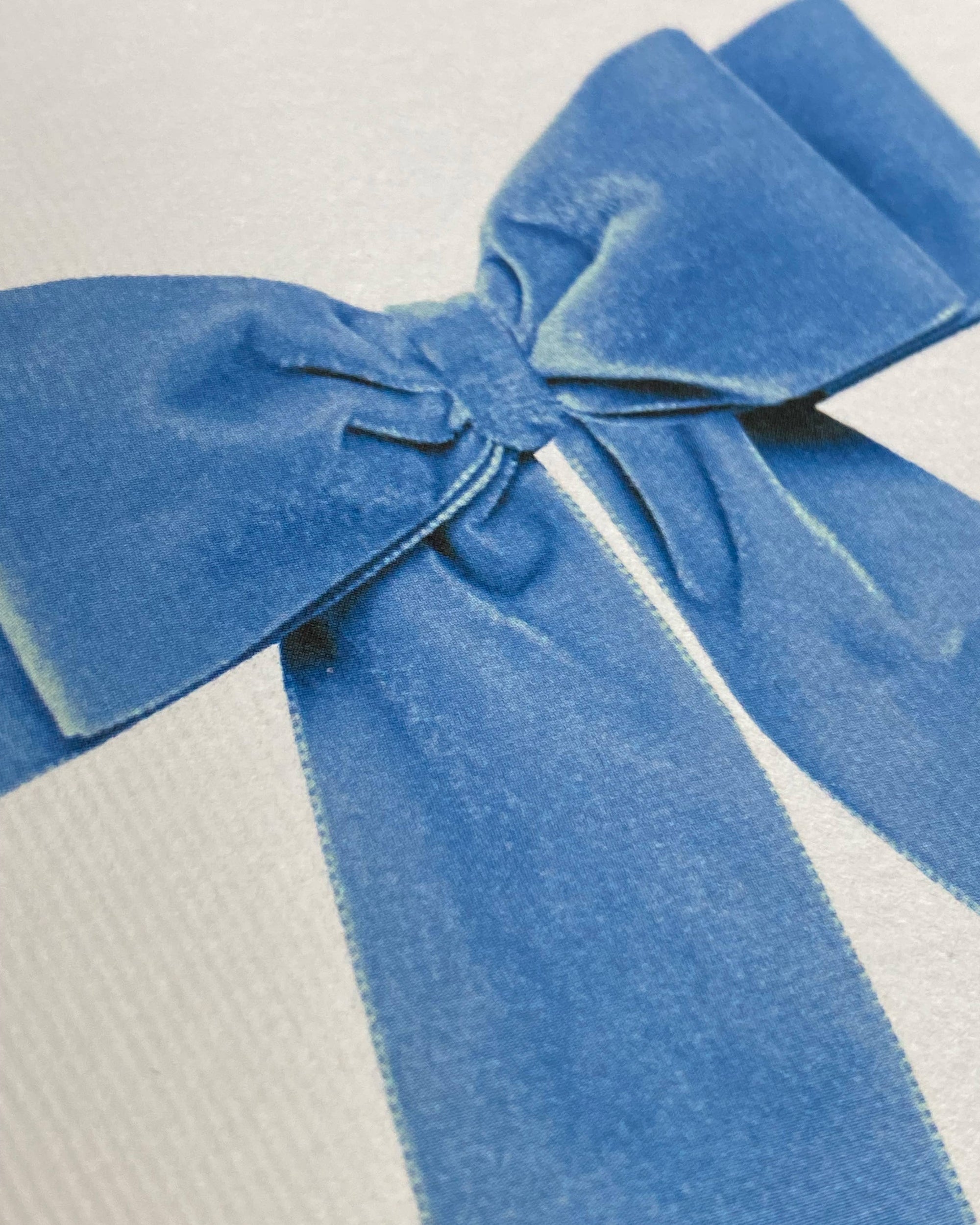 Baby Blue Velvet Bow