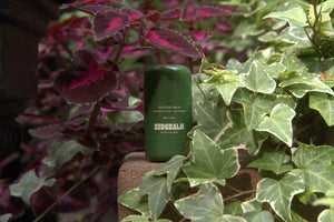 Outside Balm, Sidebalm