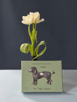 The Love Hound Bundle