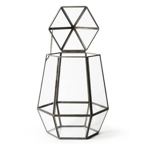 Orchid Terrarium