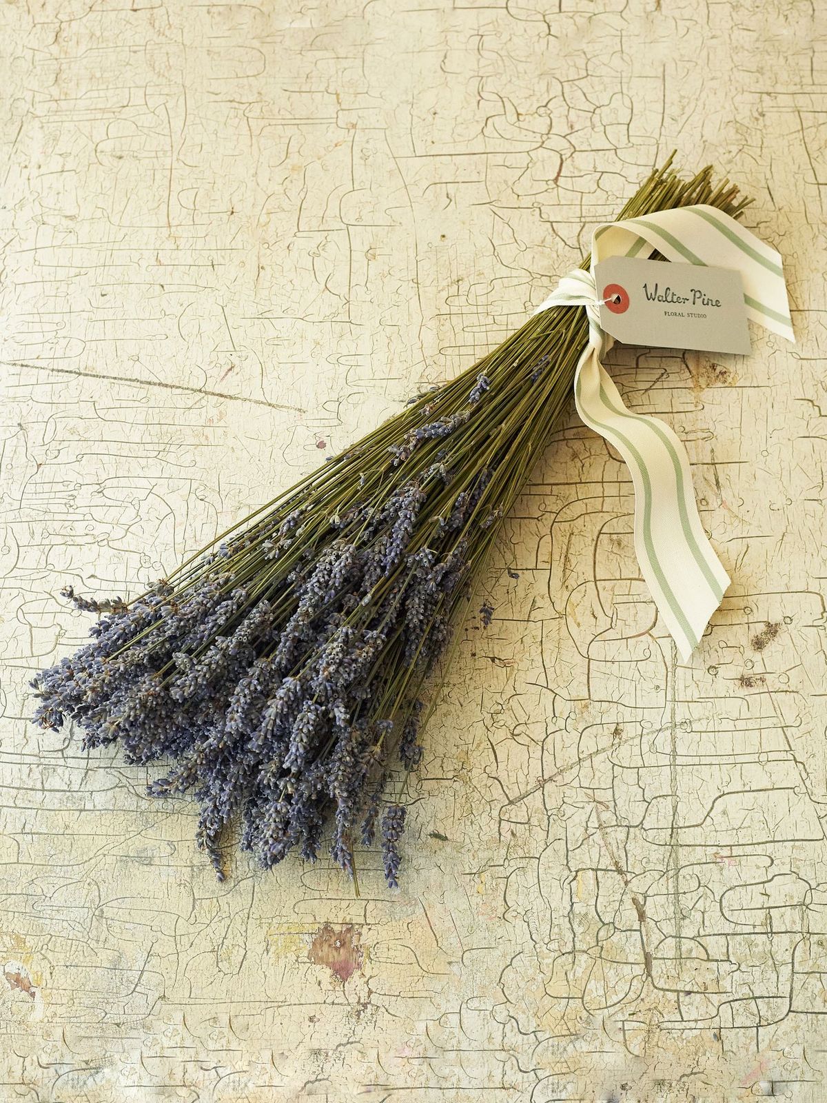 French Lavender Bundle - Walter Pine Floral Studio