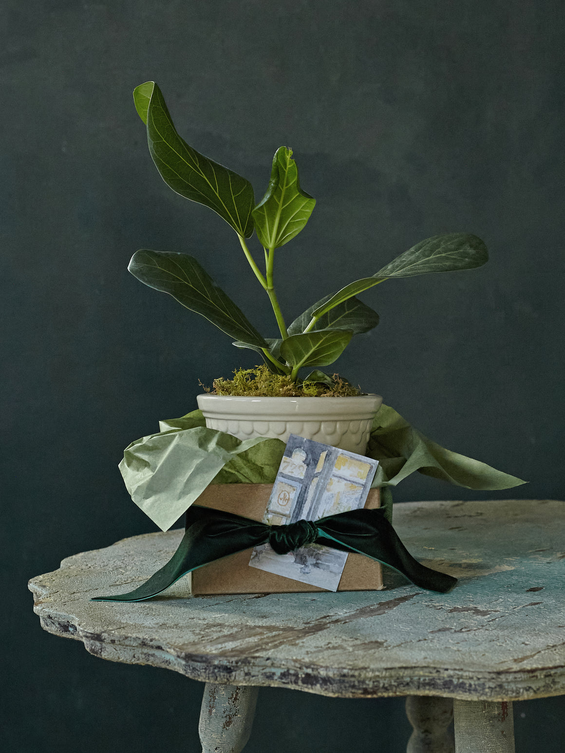 Old Money Audrey