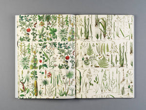 Flora Gift & Creative Paper Book