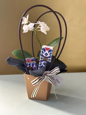 The Voga Bundle