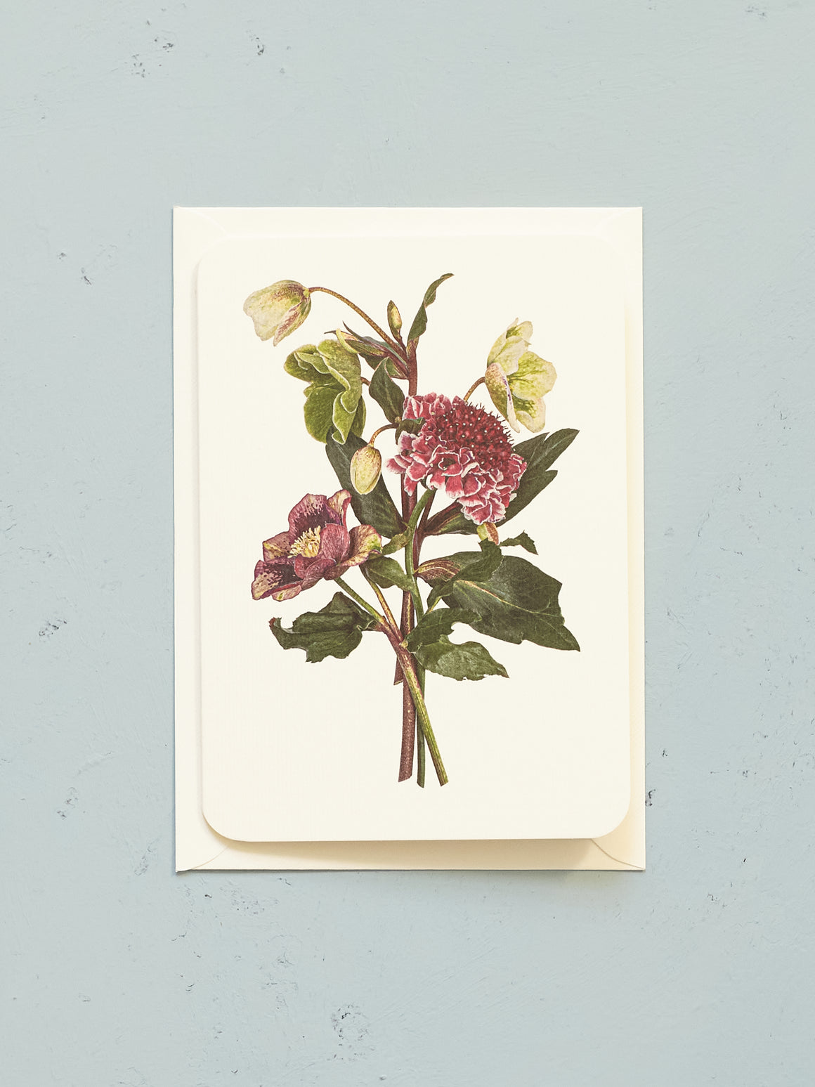 Hellebore & Scabiosa Posy Card