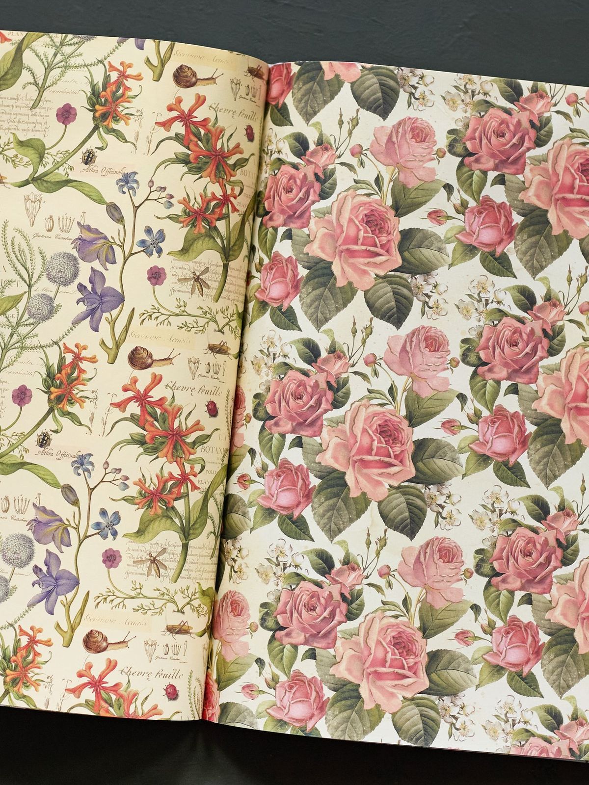 Botanica Giftwrap Book