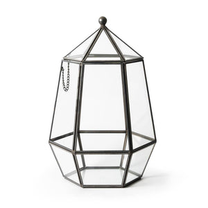Orchid Terrarium