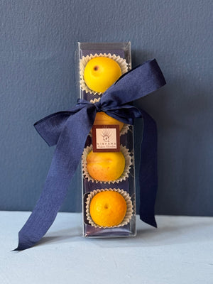 Orange Marzipan Fruit Box