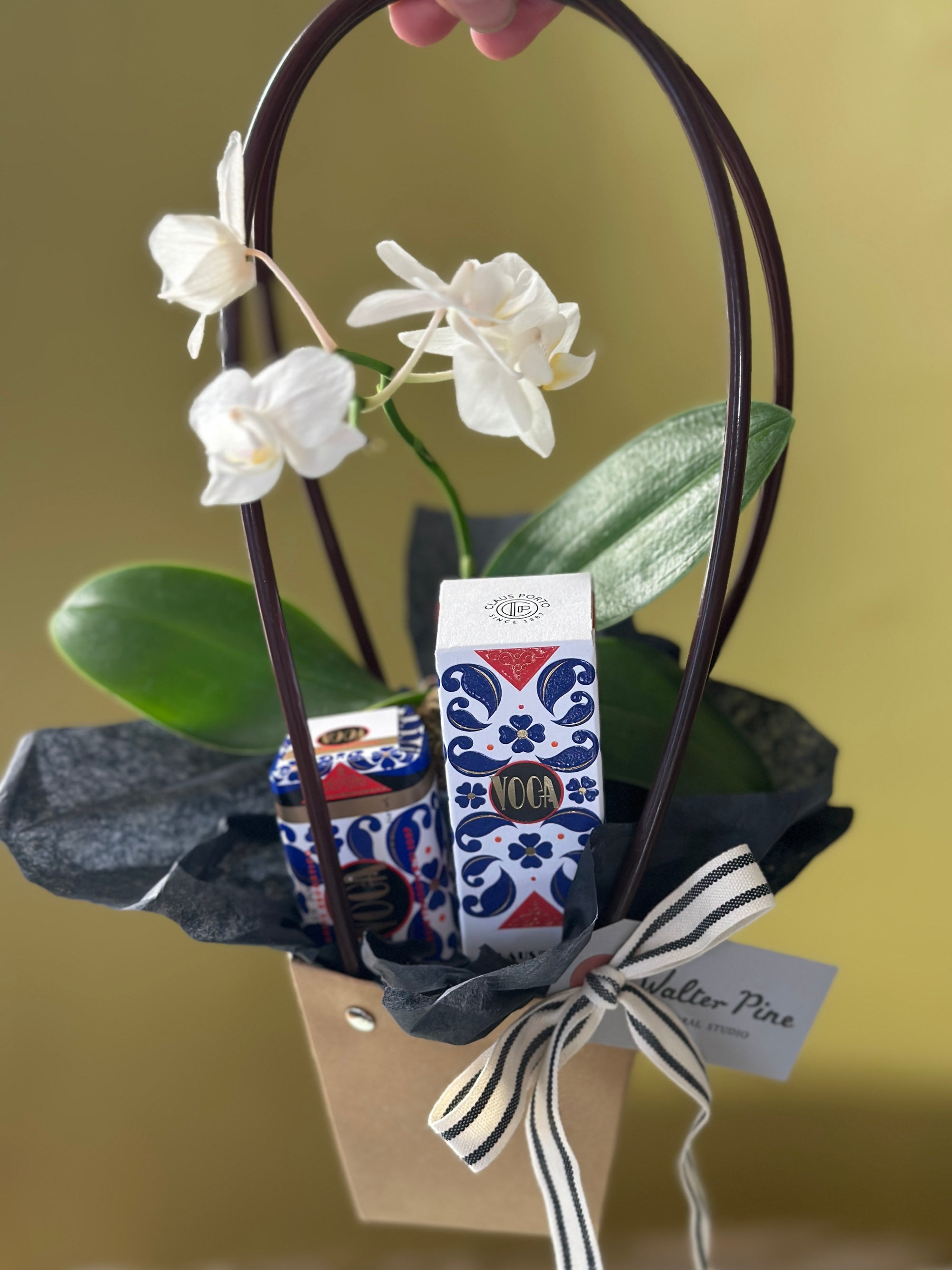 The Voga Bundle