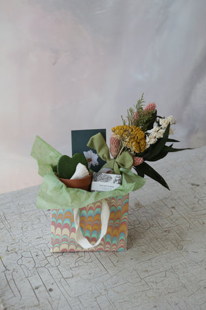 MOMento Bundle