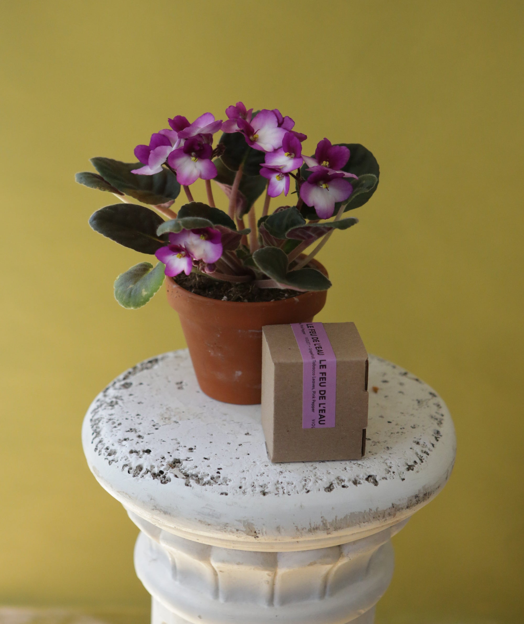 Violet Mom Bundle