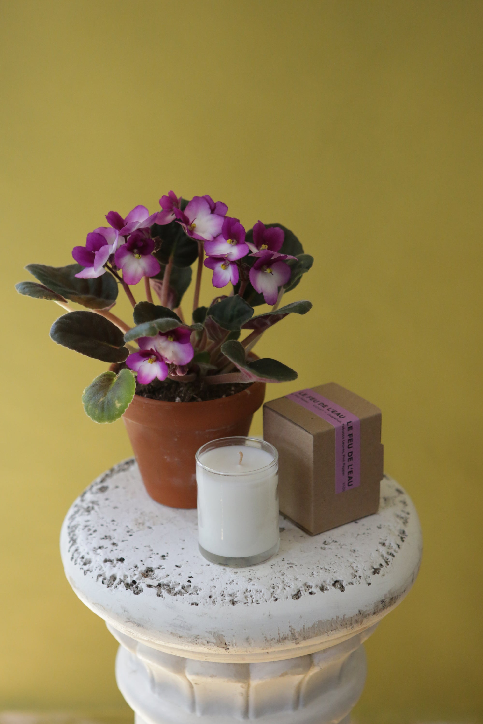 Violet Mom Bundle