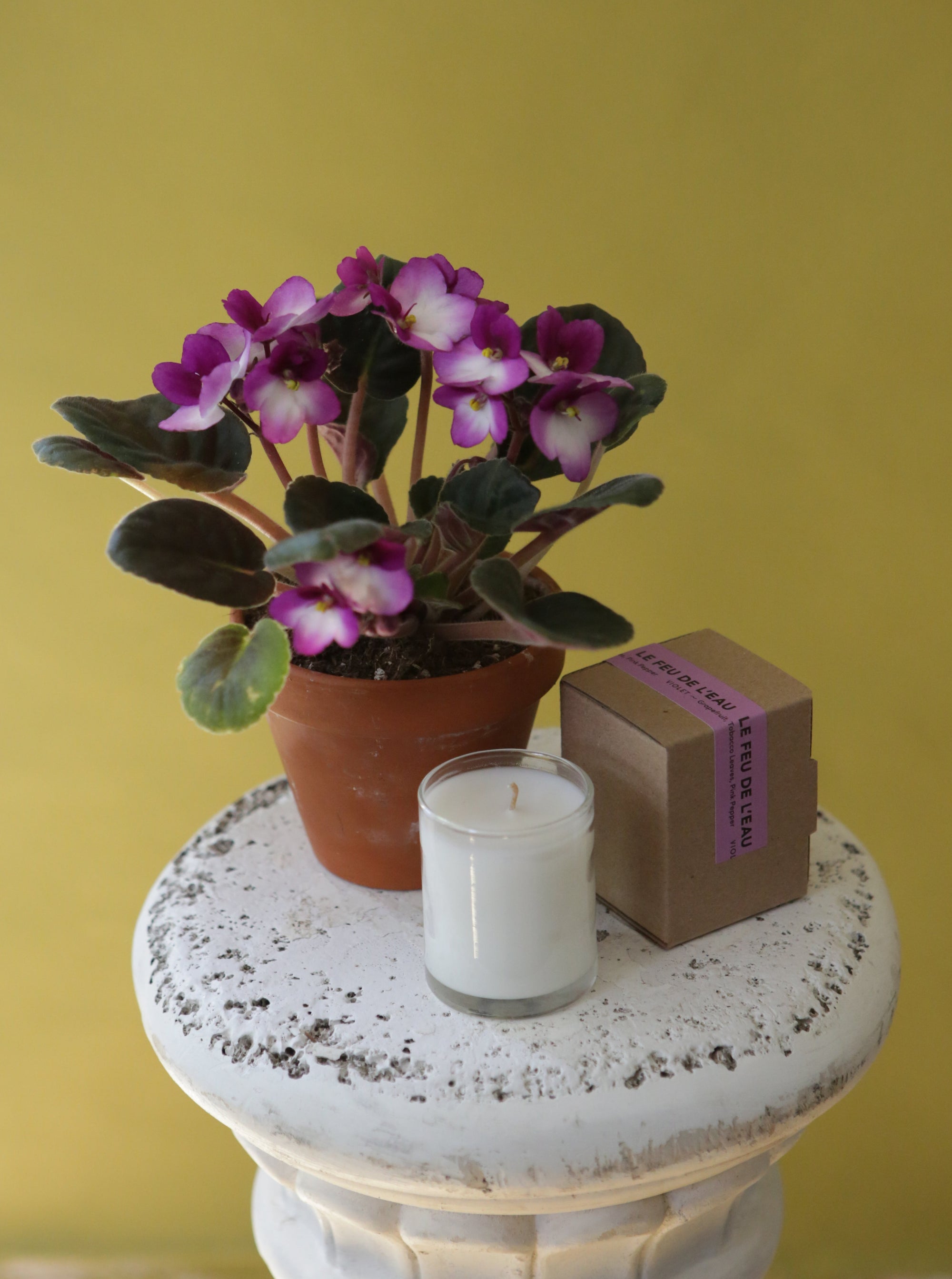 Violet Mom Bundle