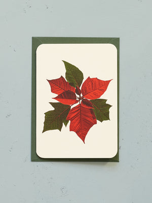 Poinsettia Christmas Card