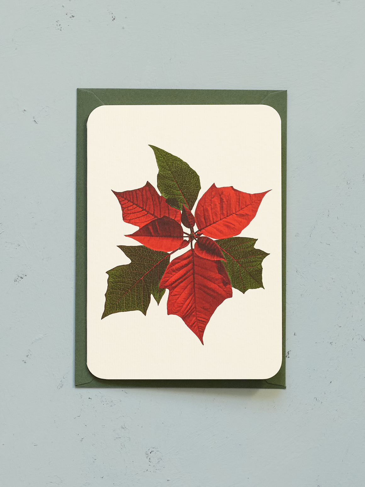 Poinsettia Christmas Card