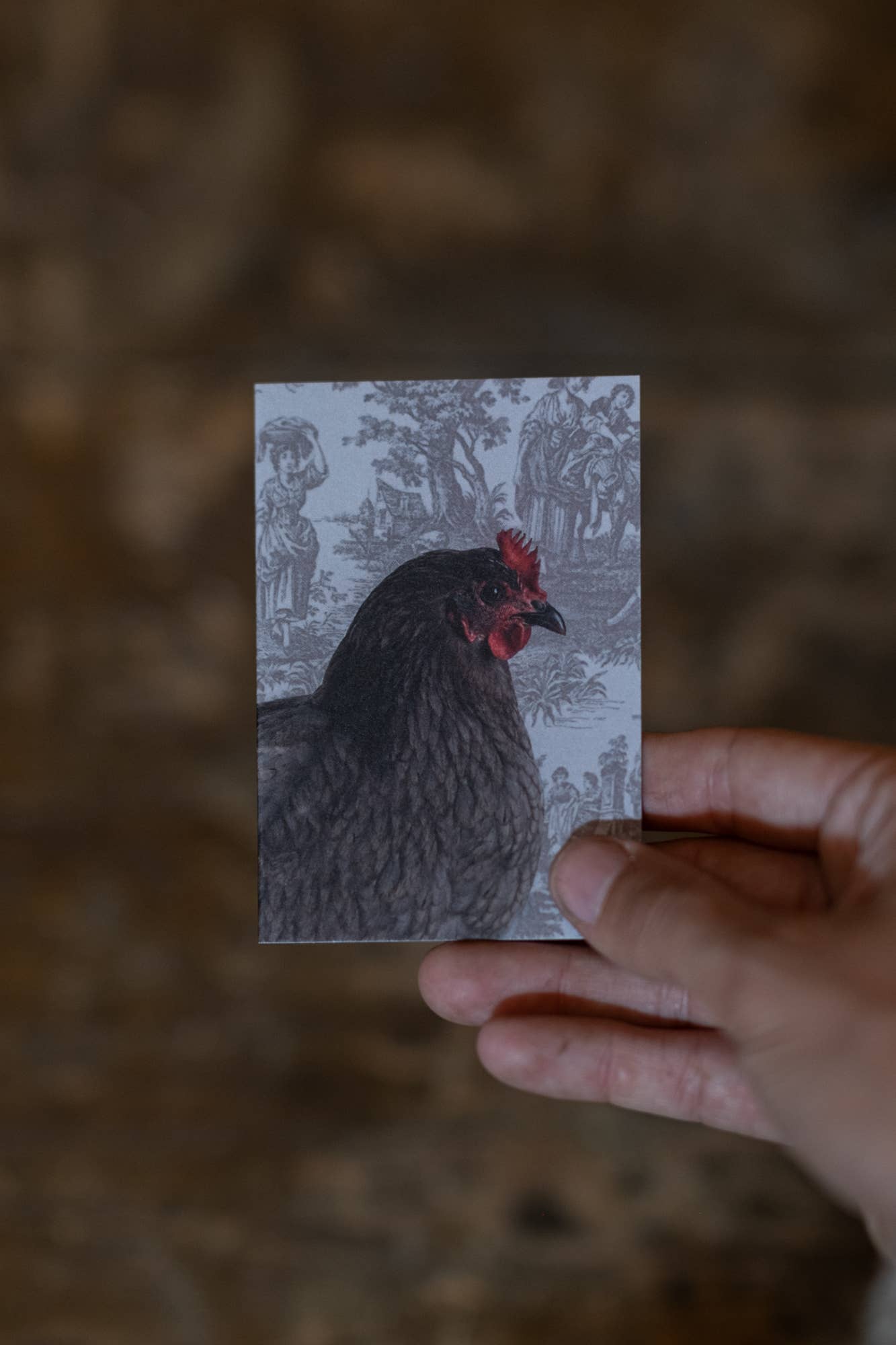 Chicken Mini Notecard