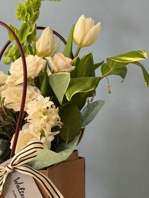 The Lily Bundle