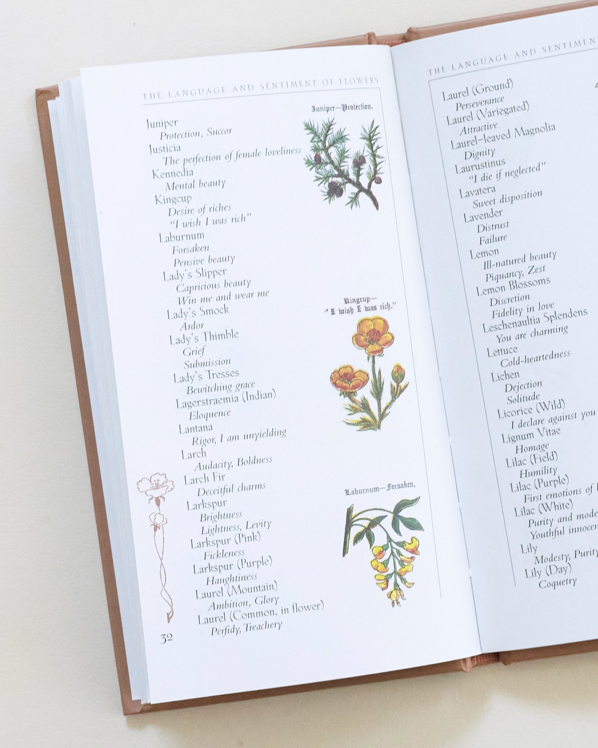Language of Flowers Bundle
