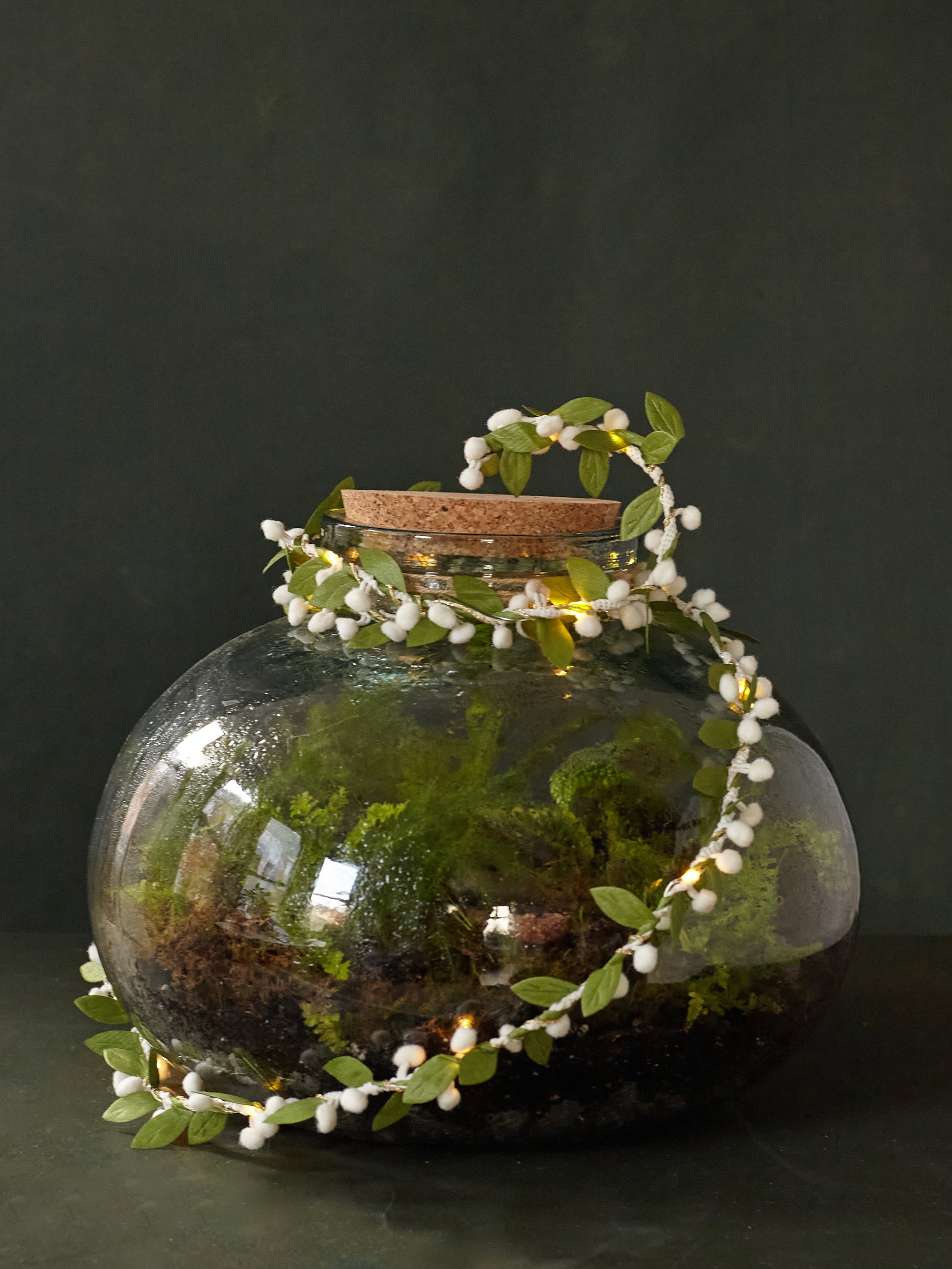 Woodland Terrarium, Grande