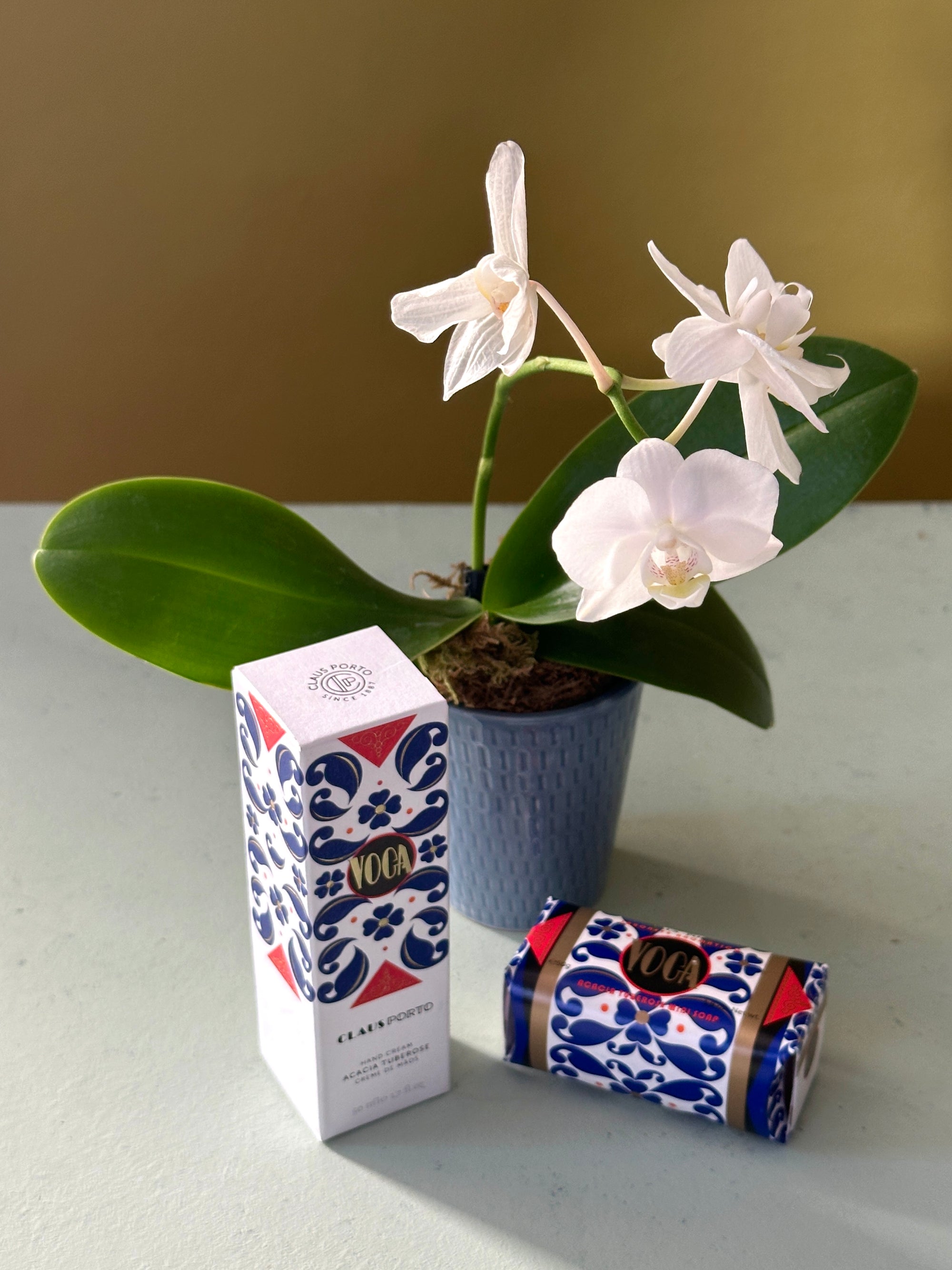 The Voga Bundle