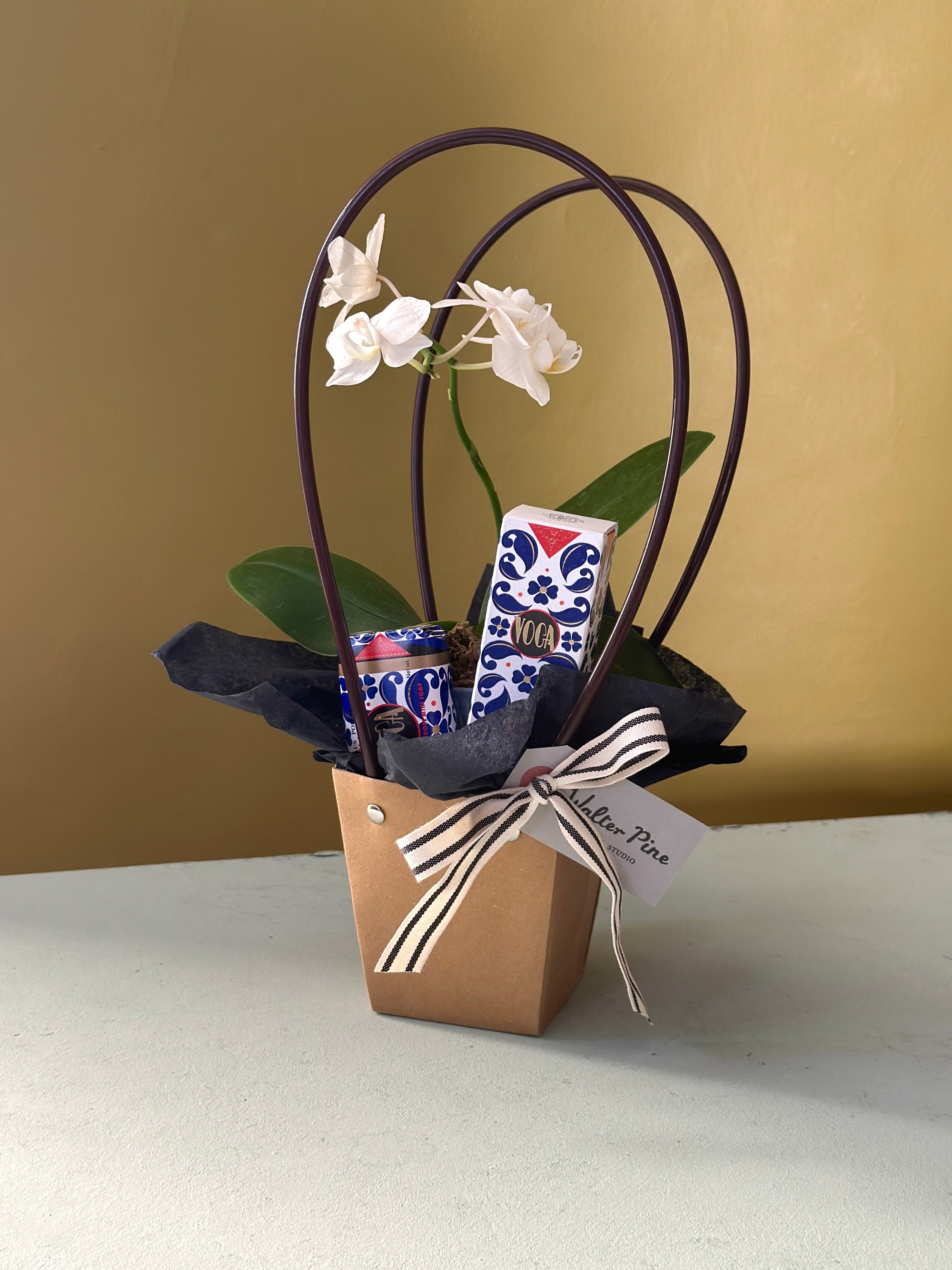 The Voga Bundle
