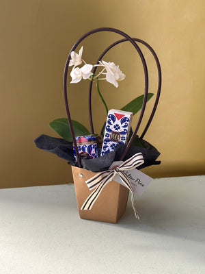 The Voga Bundle
