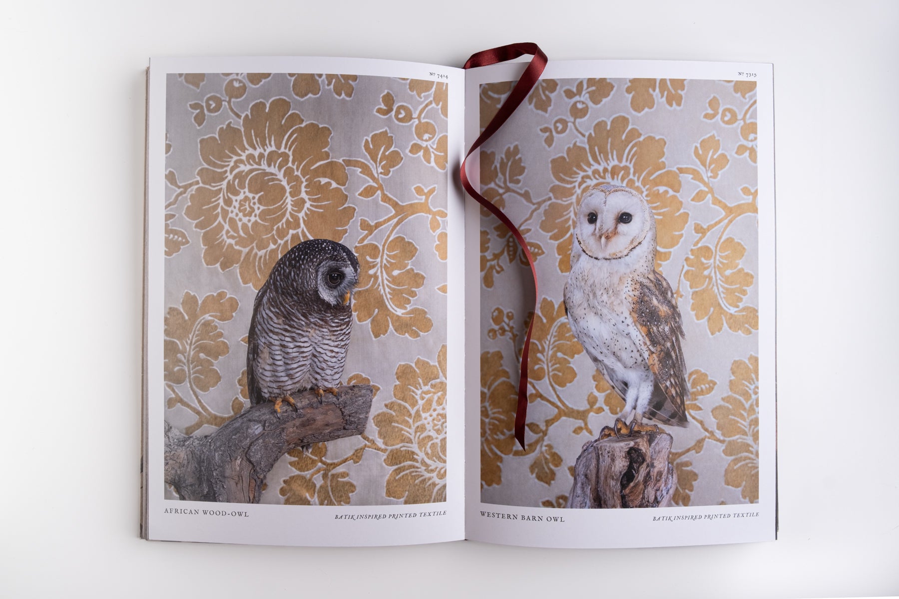 Birds of a Feather Book