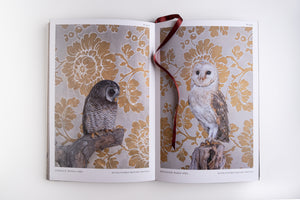 Birds of a Feather Book