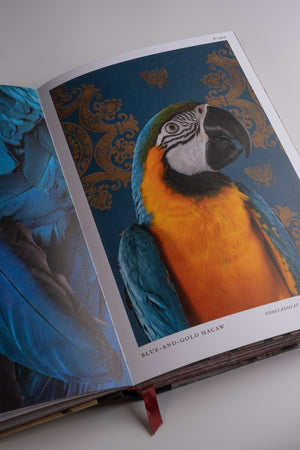 Birds of a Feather Book