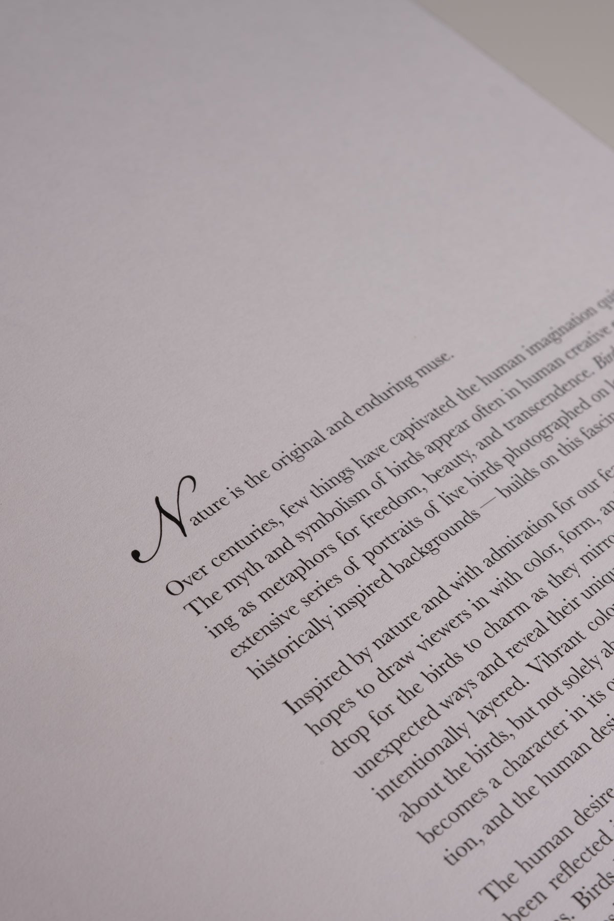 Birds of a Feather Book