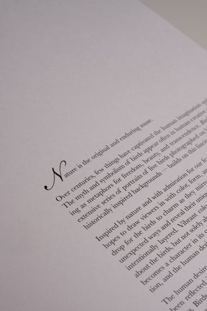 Birds of a Feather Book