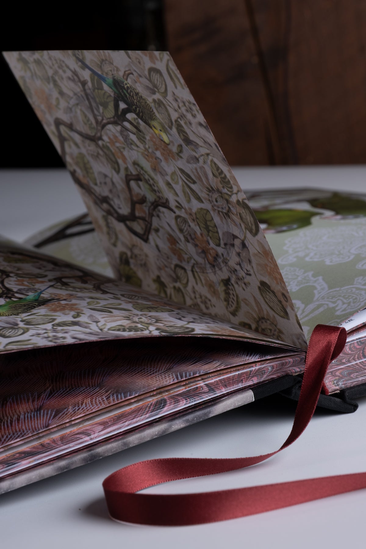 Birds of a Feather Book