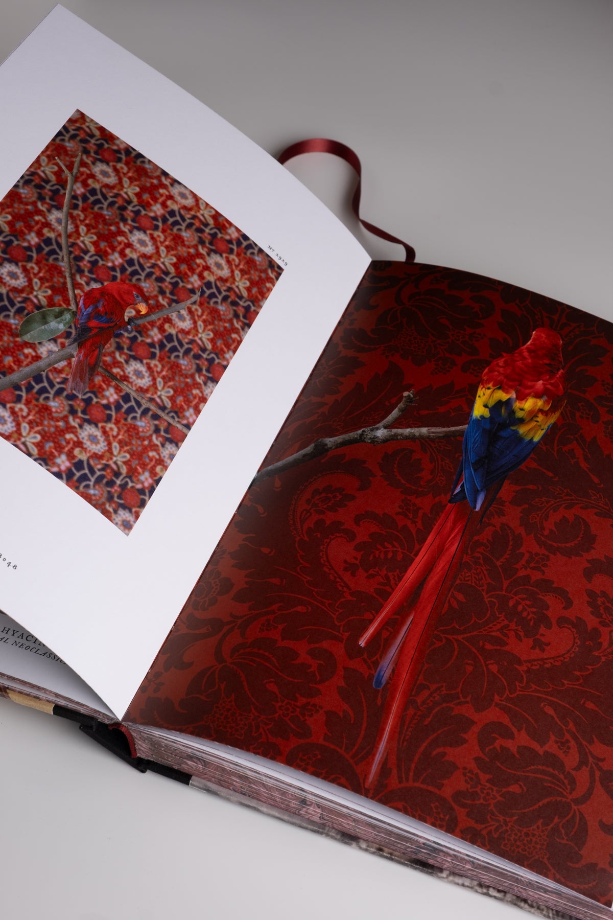 Birds of a Feather Book