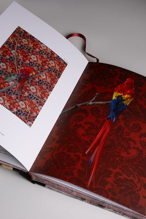 Birds of a Feather Book