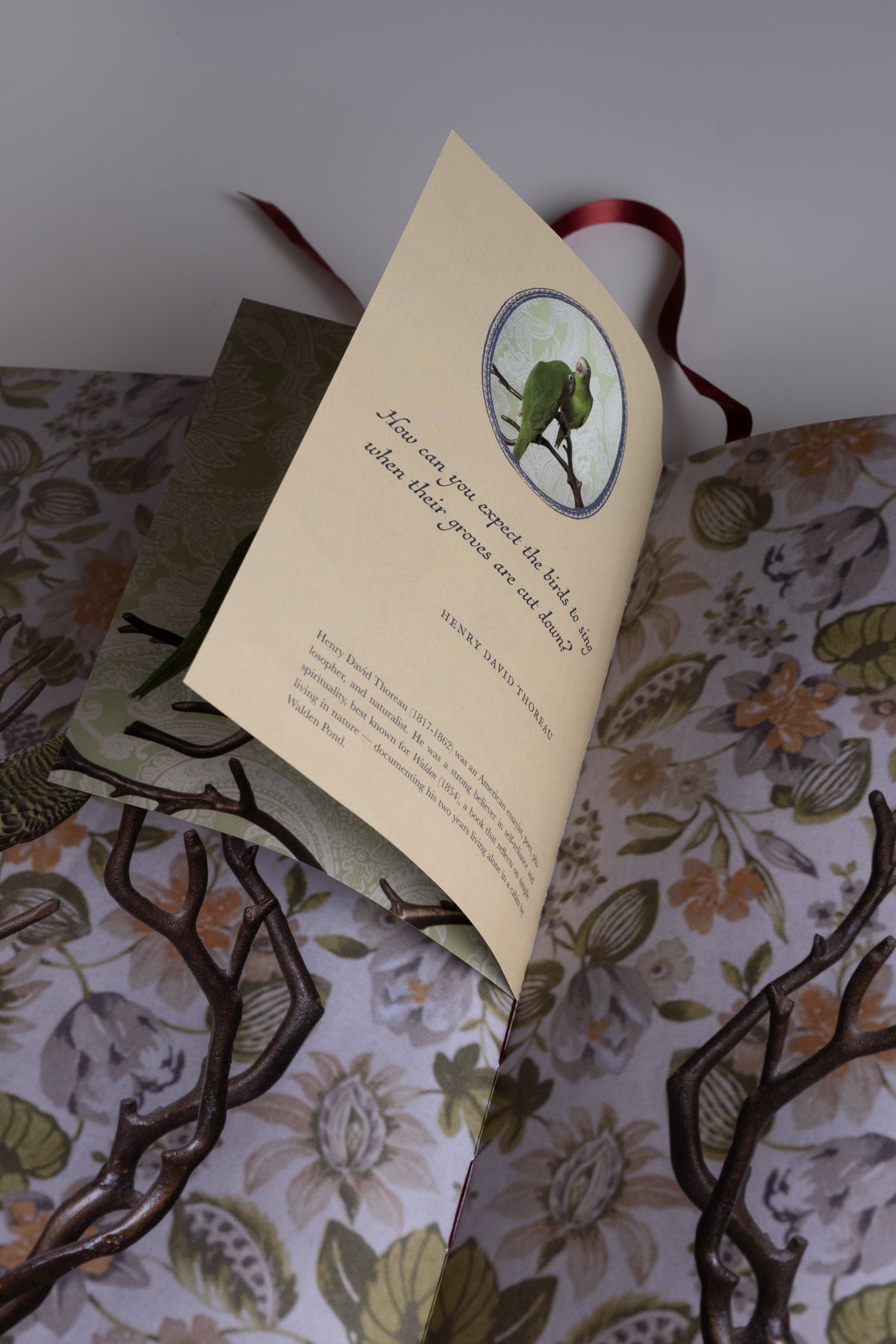 Birds of a Feather Book