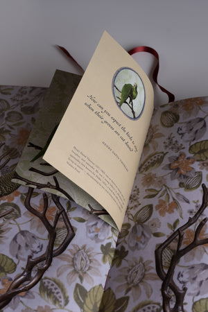 Birds of a Feather Book