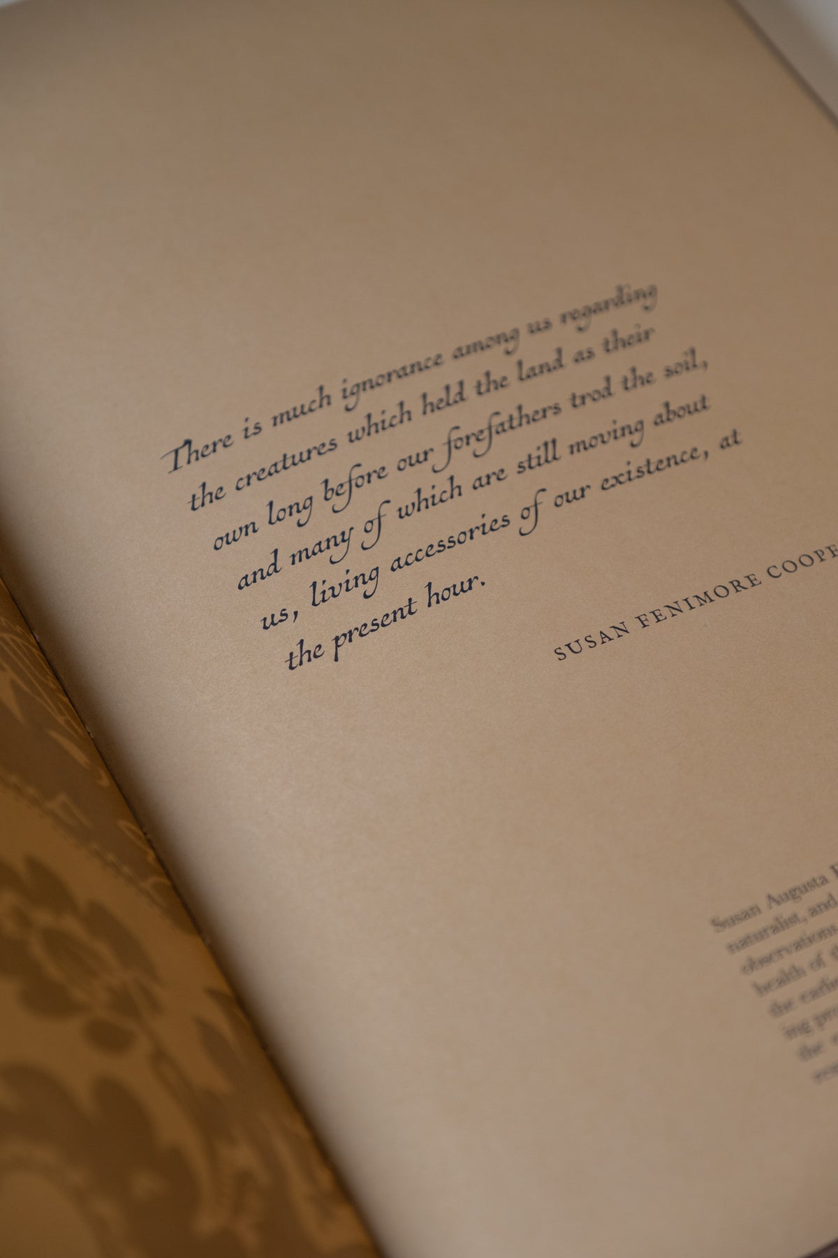 Birds of a Feather Book