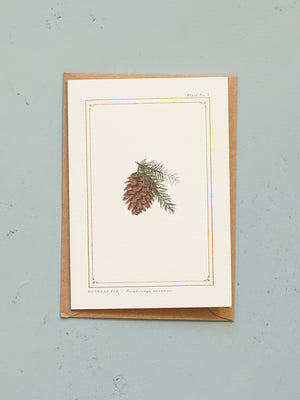 Festive Fir Botanical Card
