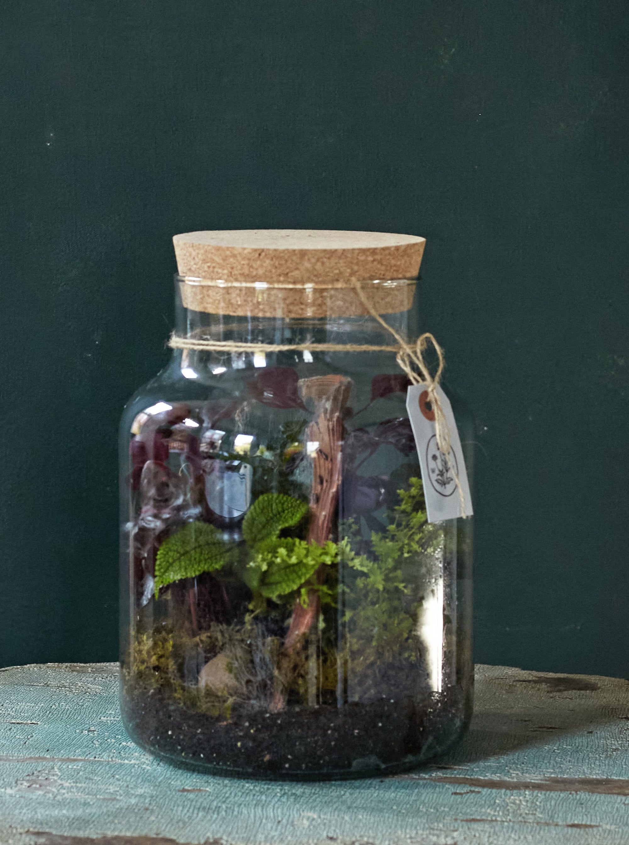 Forest Floor Terrariums