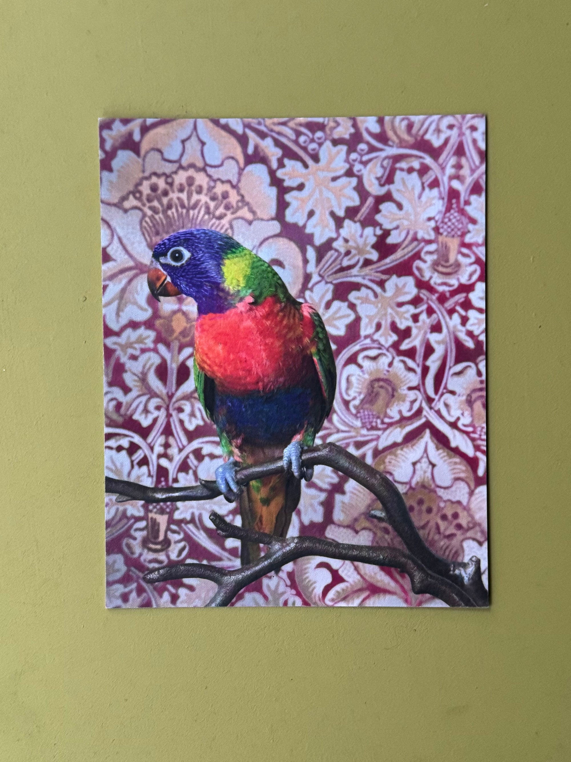 Birds of a Feather Postcard