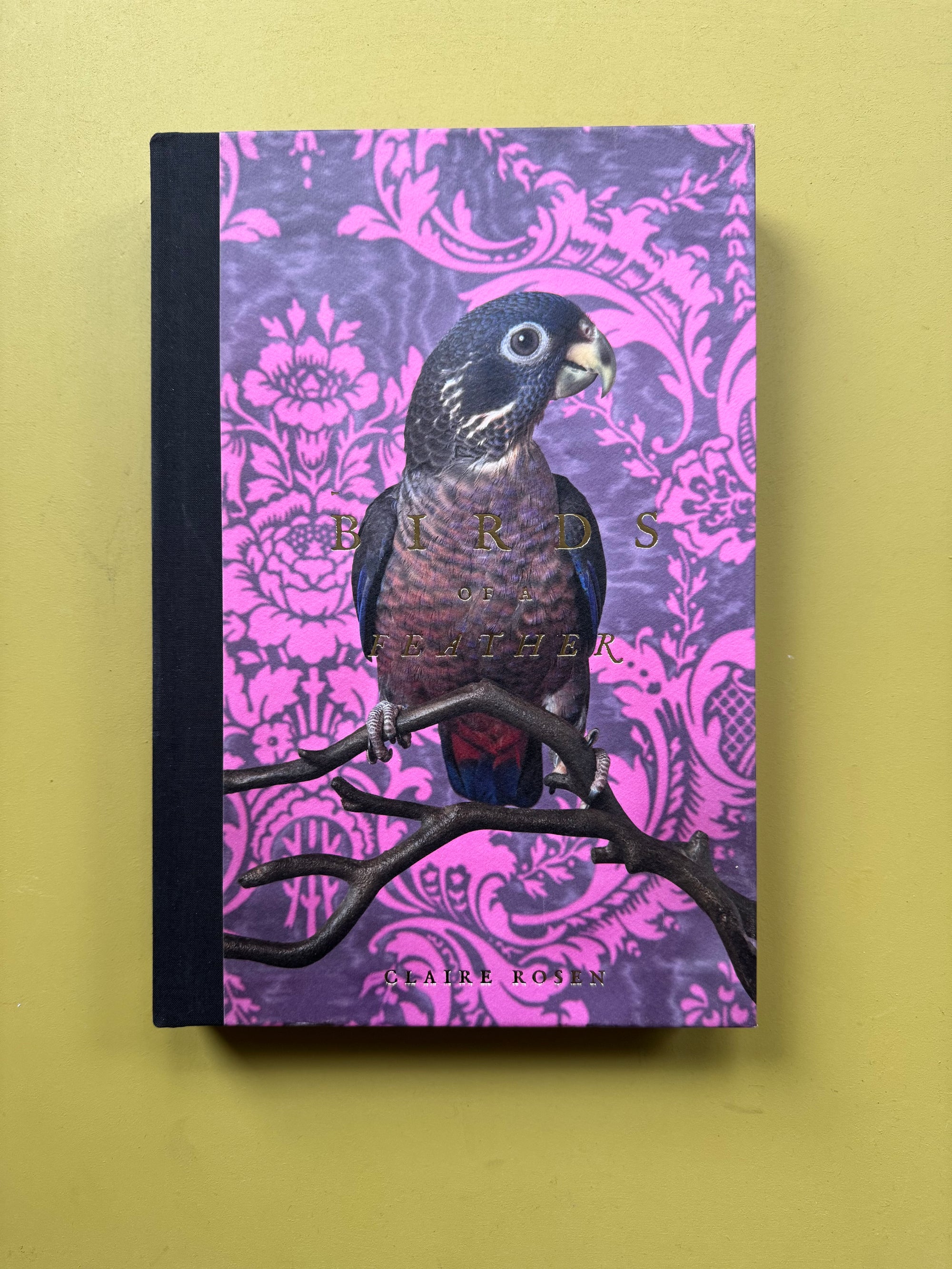 Birds of a Feather Book