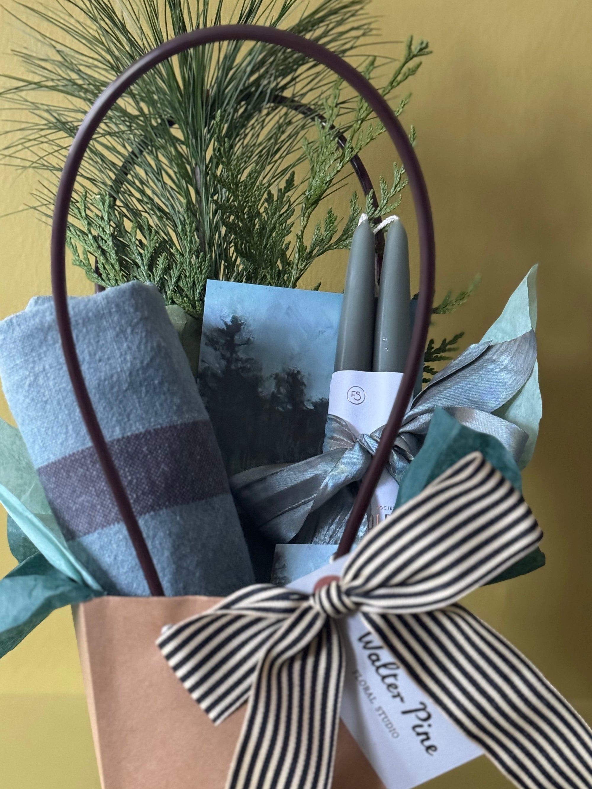 Blue Spruce Bundle