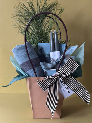 Blue Spruce Bundle